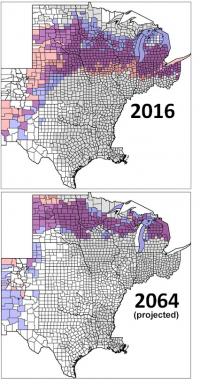 Crop maps