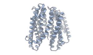 Preventing a Transporter Protein from Doing its Job