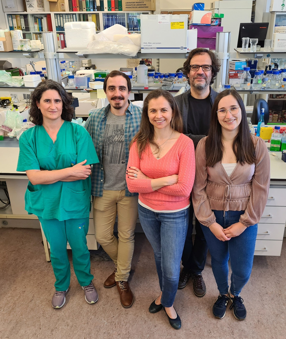Investigadores do iMM e do Hospital Santa Maria, em Lisboa, desenvolveram modelos  para estudar metástases cerebrais a partir de doentes