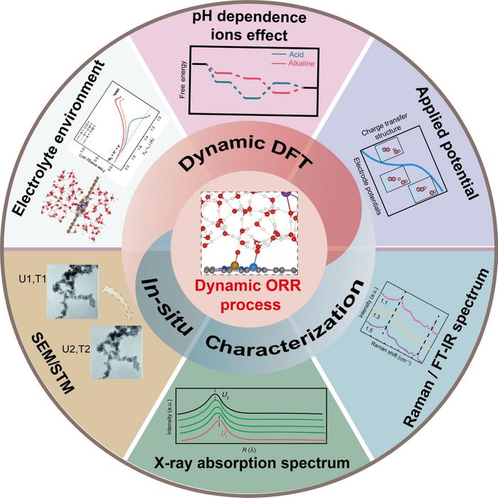 DFT and in-situ characterization studies of the dynamic ORR process
