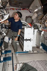 Koichi Wakata, Japan Aerospace Exploration Agency