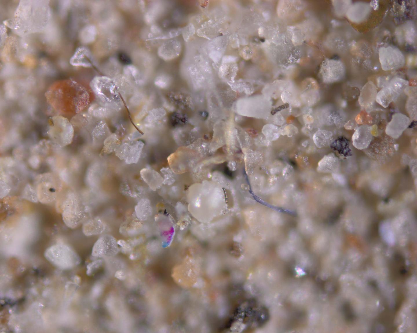 Microplastic particles in atmospheric dust.