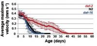 Lifespan