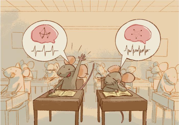 When neural spikes break time's symmetry