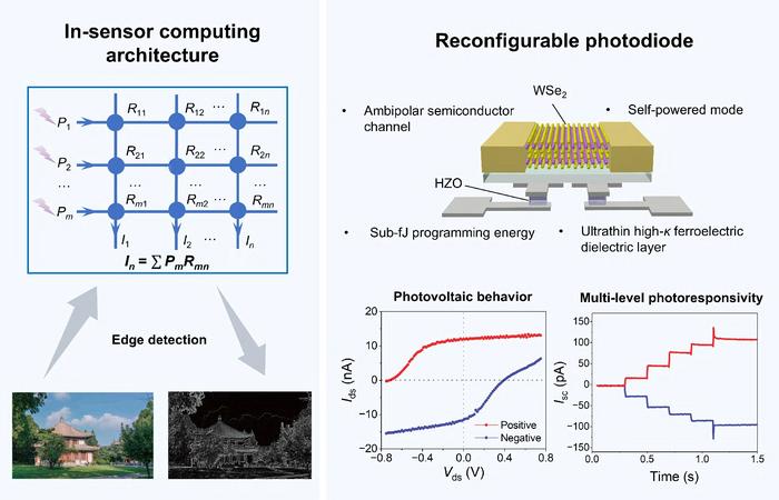 Energy-efficient reconfigurable photodiode based on ferroelectric HfxZr1-xO2 (HZO) and ambipolar semiconductor WSe2 for in-sensor computing.