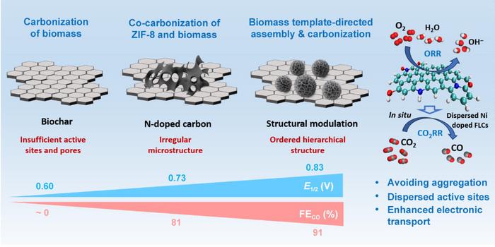 MOFs-Mediated Structural Modulation of Biomass-Derived Carbon for Electrochemical Reactions