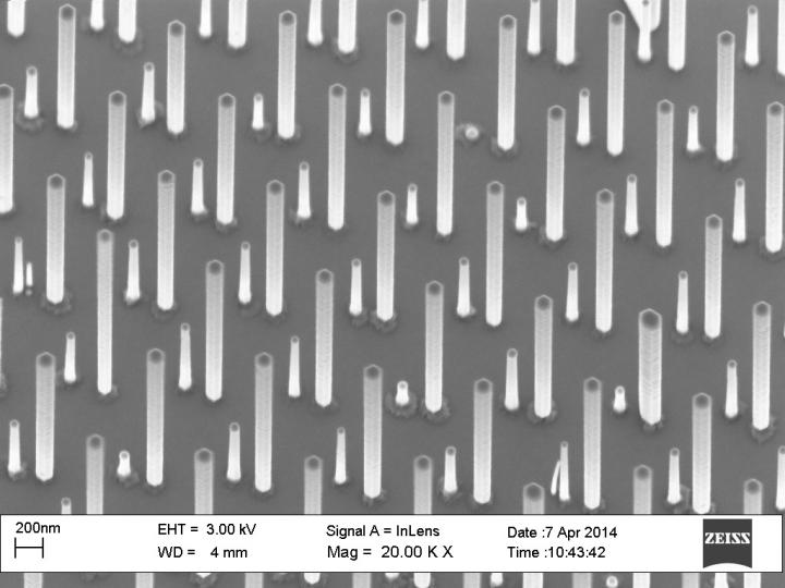 Electron Micrograph