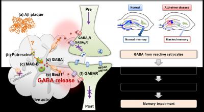 Schematic Diagram