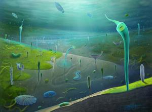 Reconstruction of Jiangchuan biota
