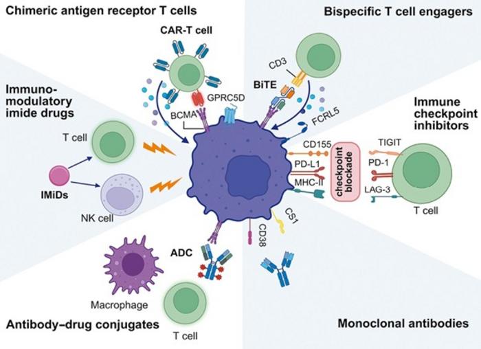 Overview of Immunotherapy in Multiple Myeloma