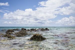 Far from the Equator