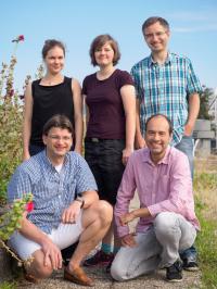 Study Authors