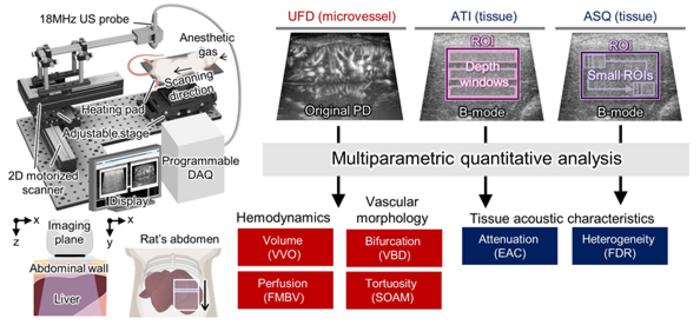 Overview of a Three-Dimensional Multiparametric Ultrasound Imaging System for the Diagnosis and Monitoring of Steatotic Liver Disease
