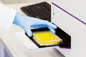 Beta-Carotene keeps enzymes active under heavy load