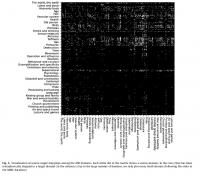 Visualization of Source-Target Mappings Among the 400 Domains