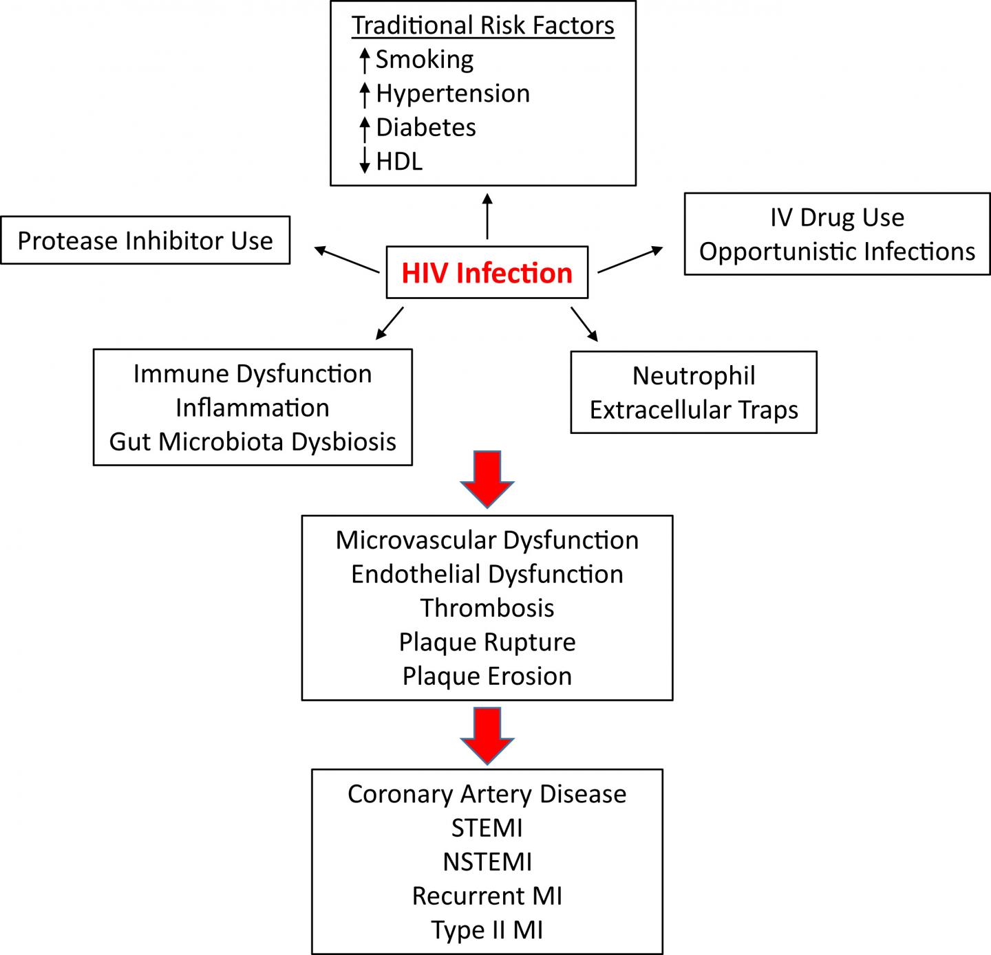 Clinical and Immunologic Factors Implicated in HIV-Associated CAD