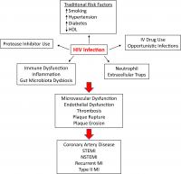 Clinical and Immunologic Factors Implicated in HIV-Associated CAD