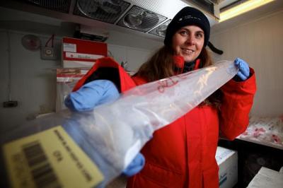 Ice Core