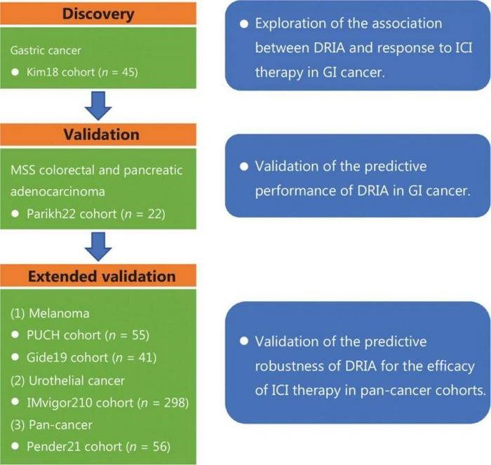 Flow diagram of this study.