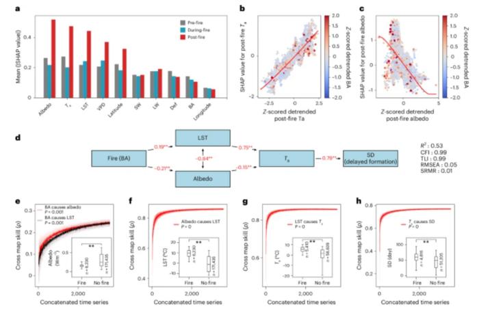 PolyU research finds frequent Arctic wildfires could cut snow cover by 18 days, impacting global climate and ecology
