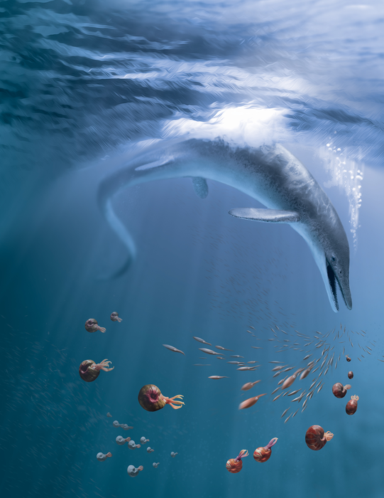 2_Ichthyosaur-reconstruction