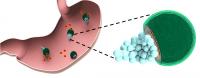 Micromotors Treat Their First Bacterial Infection in the Stomach