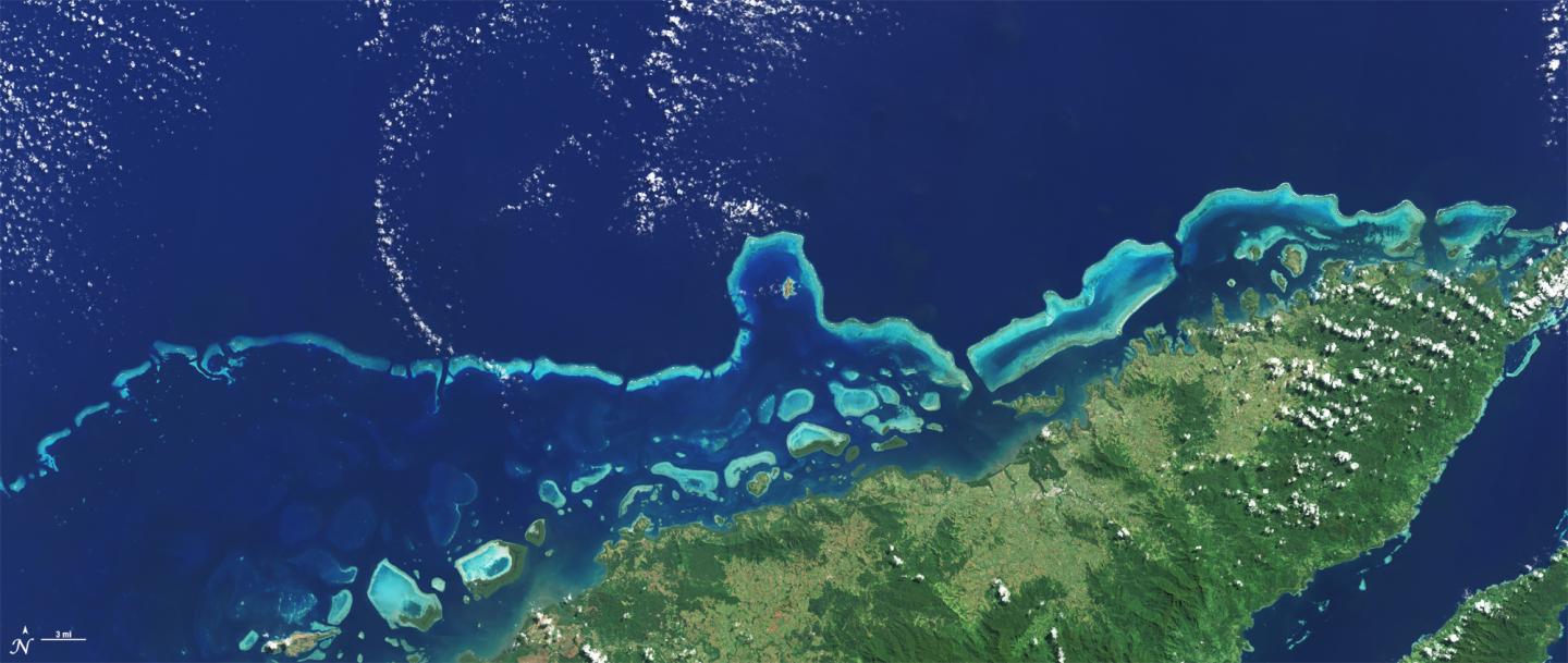 Coral Reefs on the Northern Shore of Vanua Levu