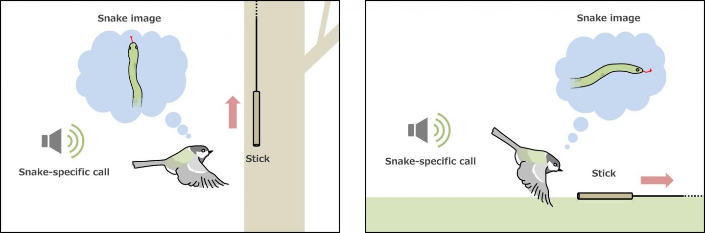 Experimental Design