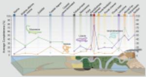 Fossil Squamate comparison