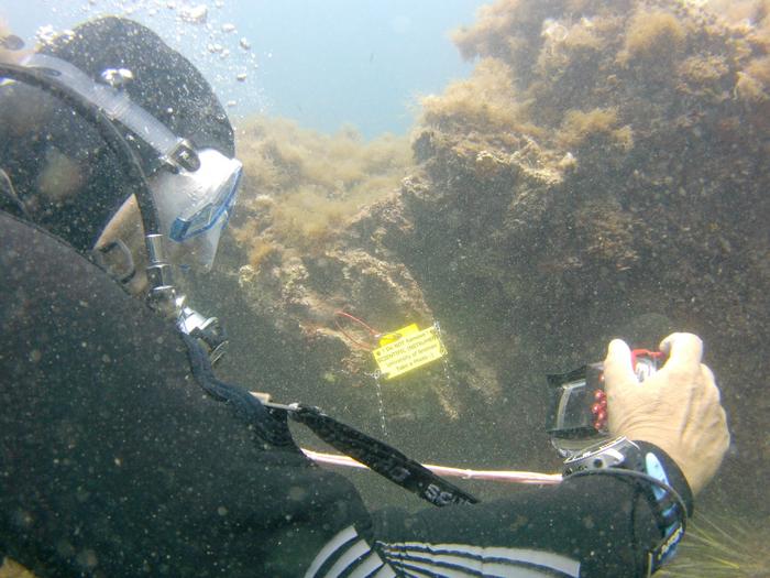 Diver in front of a BlueDOT sensor. Calibration dive sites are now installed on costa brava (Spain) and on Gozo (Malta). Photo: BlueDOT, Christophe Galerne
