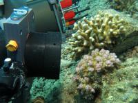 Benthic Underwater Microscope
