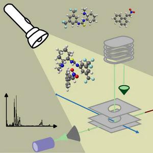 Molecular structure of a thiourea-based organocatalyst