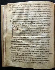 中世の福音書から羊の病歴。羊皮紙に3,500年前のウイルス史が残っていた