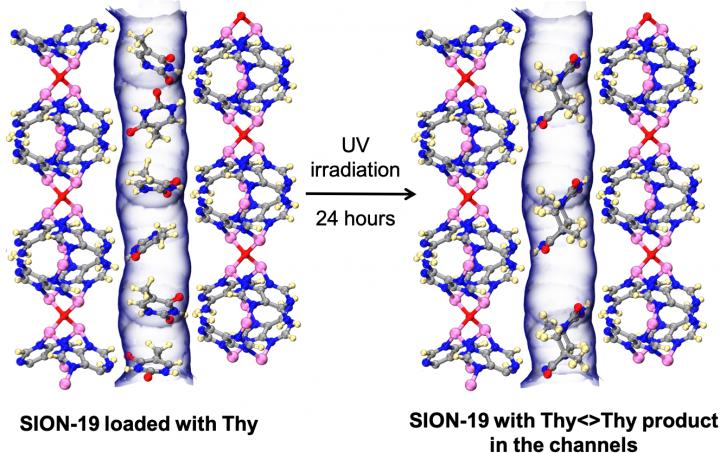 SION-19, a Biologically Derived MOF Based on Adenine
