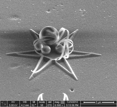 Encapsulating Milk Particles
