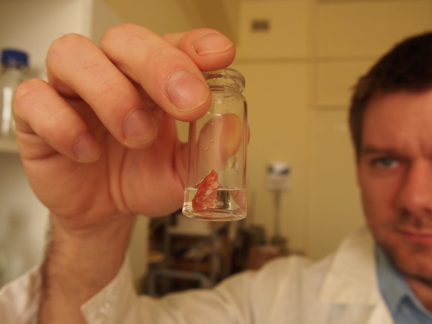 Detecting Phenols in Sausage Using Vitamin B4