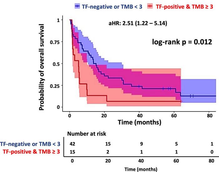 Prognostic impact of bile-derived TF together with mutational burden.