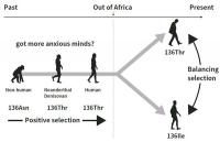Evolution of Psychiatric Disorders and Human Personality Traits (2 of 2)