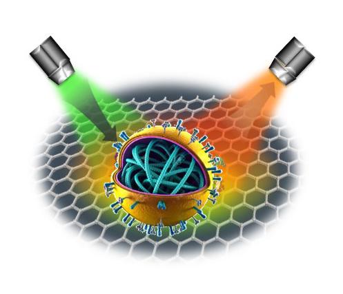 Virus Laser