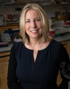 Christine Brown, Ph.D., deputy director of the T Cell Therapeutics Research Laboratories at City of Hope