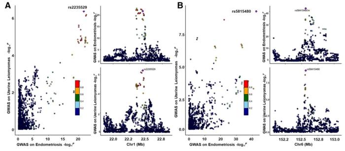 Colocalization analysis on endometriosis (EM) and uterine fibroid (UL).