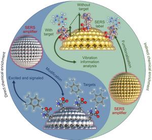 Overview of chemical capture