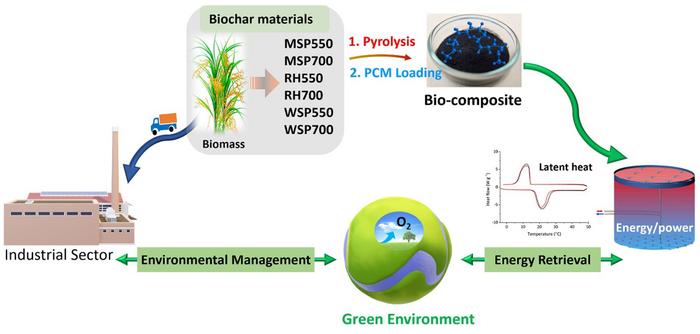 Insights into the effects of biomass feedstock and pyrolysis conditions on the energy storage capacity and durability of standard biochar-based phase-change composites