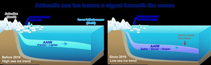 Antarctic sea ice leaves a signal beneath the ocean
