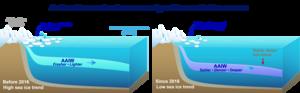 Antarctic sea ice leaves a signal beneath the ocean
