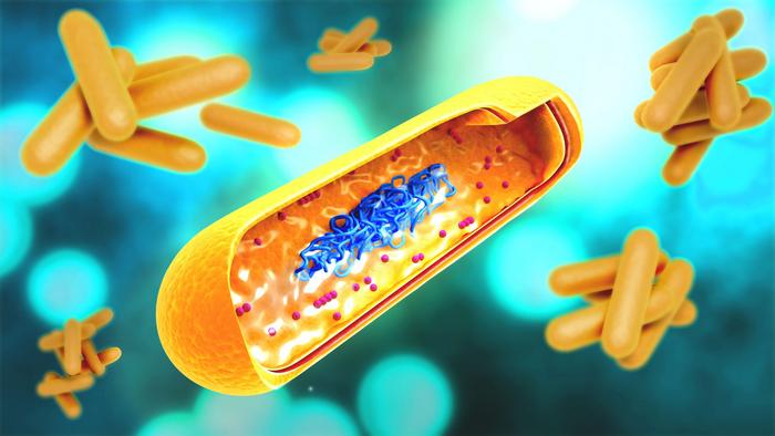 TB bacteria