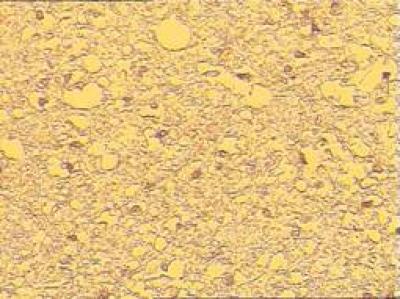 Brown Cells