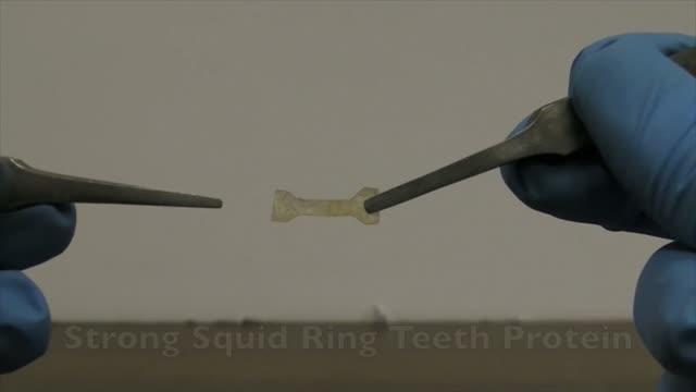 Healing Plastic