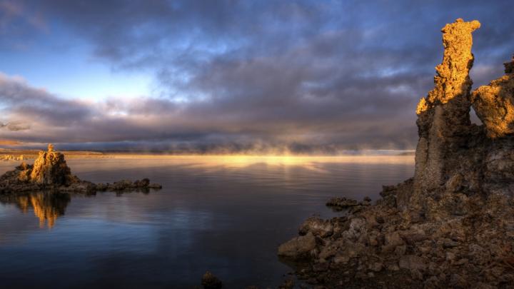 Dawn of Life
