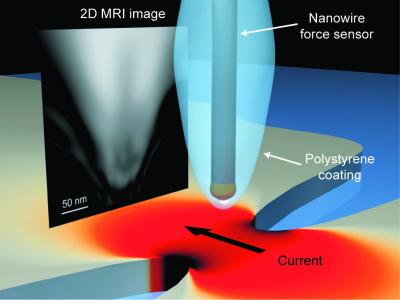 MRI Experimental Setup